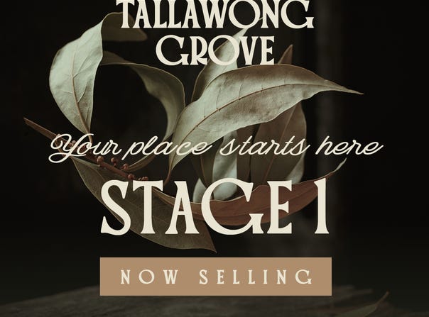 151 Tallawong Grove, Rouse Hill, NSW 2155