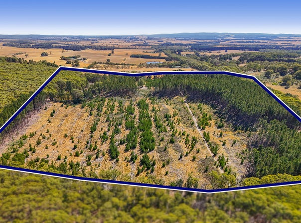 Lot 1 Llandeilo Lane, Ballan, Vic 3342