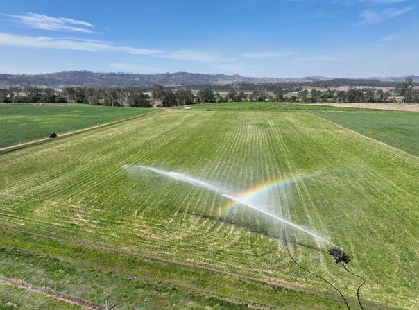 Holding 3, 288 Round Mountain Road, Laravale, Qld 4285
