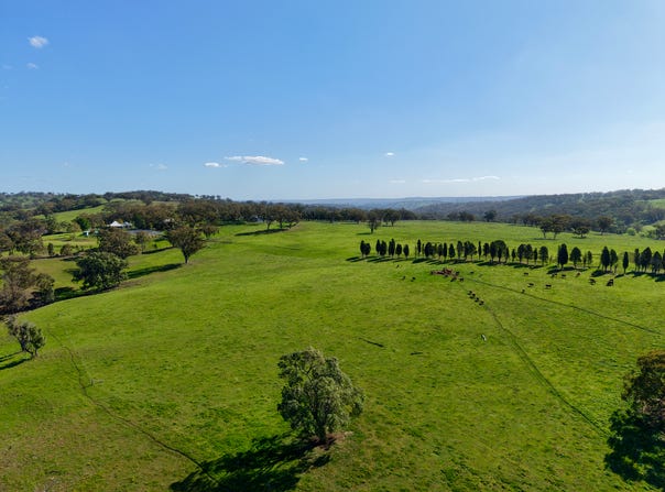 "Willunga" 700 Willunga Road, Cassilis, NSW 2329
