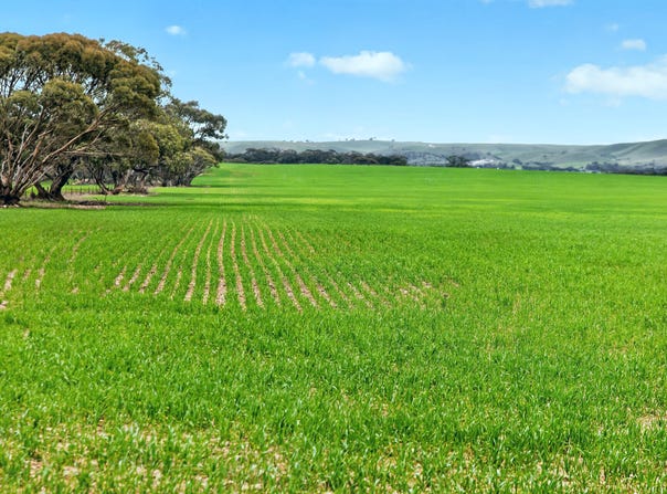 'Milde's' Keller Road, Point Pass, SA 5374