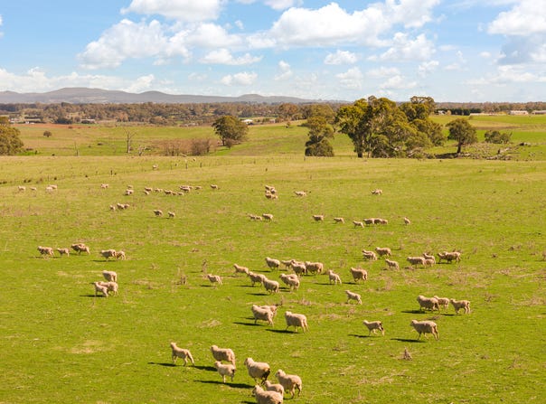 Millthorpe, NSW 2798