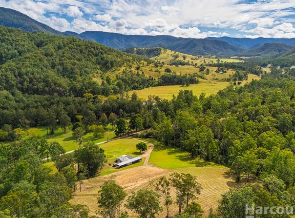 Forbes River, NSW 2446