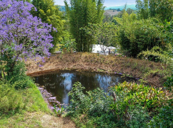 1158 Pinchin Road, The Channon, NSW 2480