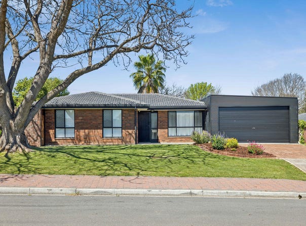 11 Reisling Road, Wynn Vale, SA 5127