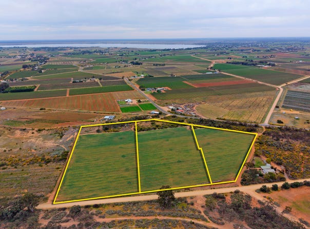Sec 236, 730 & 731 Schell Road, Loveday, SA 5345