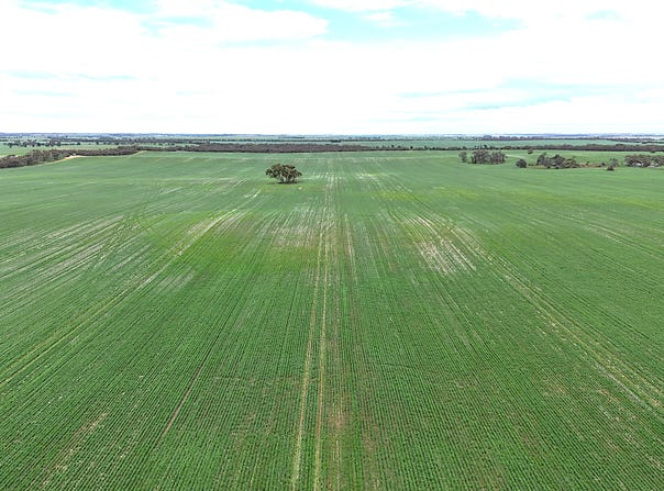 CA 21 Hopetoun/Walpeup Road, Walpeup, Vic 3507