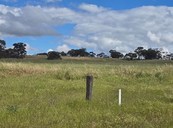 160 Coondle Drive, Coondle, WA 6566