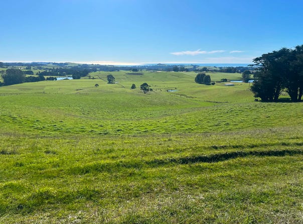1373 Mount Hicks Road, Mount Hicks, Tas 7325
