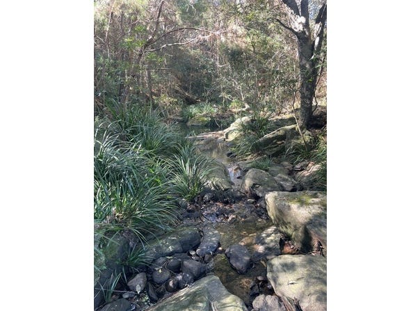 Ocean View, Qld 4521