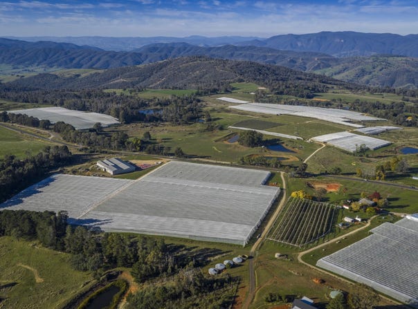 98 Mill Road, Batlow, NSW 2730