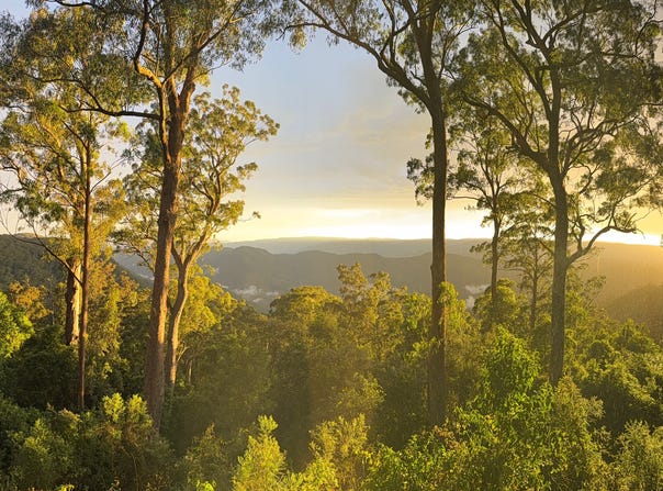 Owens Trail, Gloucester, NSW 2422