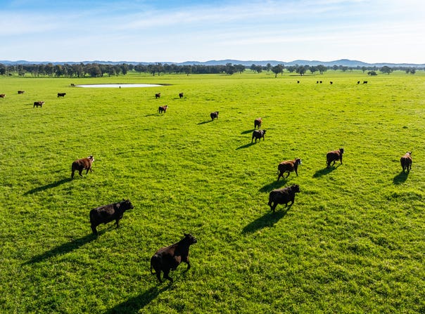 1, Simpsons Lane, Moyhu, Vic 3732