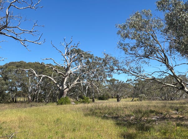 9, Flinders Highway, Wangary, SA 5607