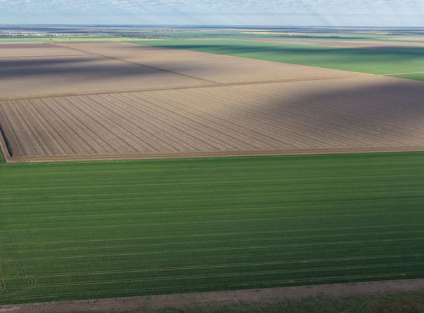 Auburn, Spring Plains, NSW 2388
