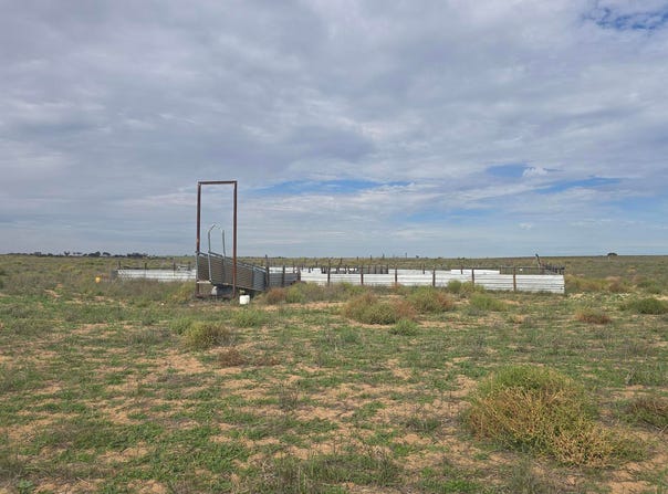 942 Baumgurtel Road, Wynarka, SA 5306