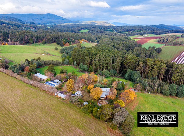117 Spraggs Road, Toolangi, Vic 3777