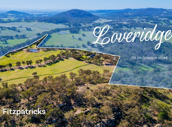6361 Holbrook Road, Gelston Park, NSW 2650