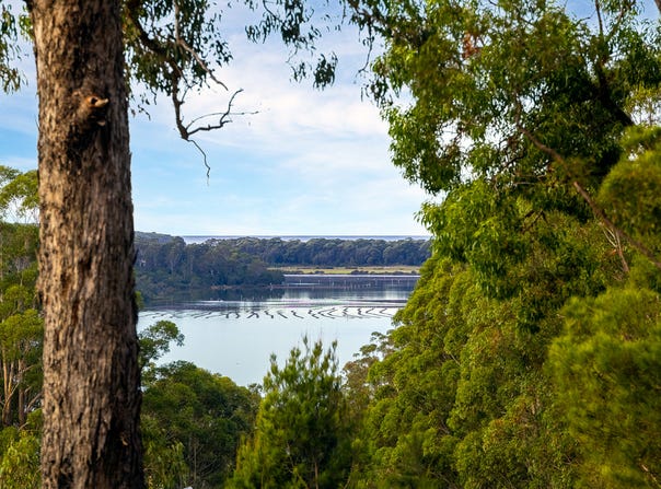 Lot 33, Buckett Lane, Millingandi, NSW 2549