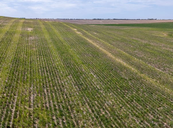 528 Thiel Road, Pinnaroo, SA 5304