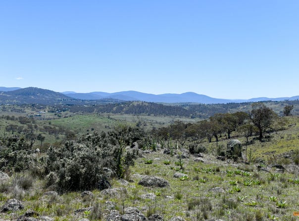 "Muriel's Paddock" Gullies Road, Moonbah, NSW 2627
