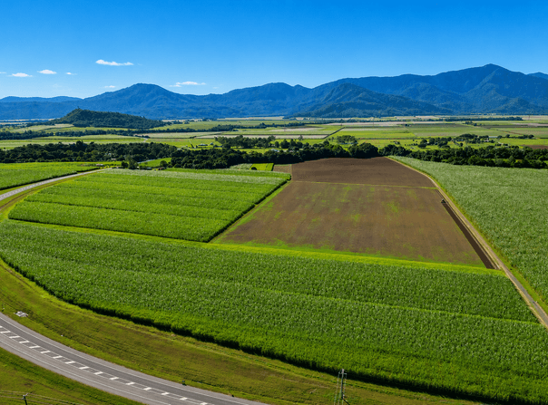 234R-236R Warner Road, Gordonvale, Qld 4865