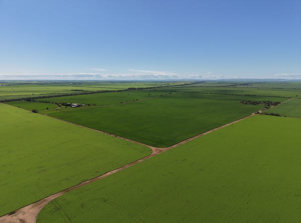 534 Willamulka Rd, Willamulka, SA 5554