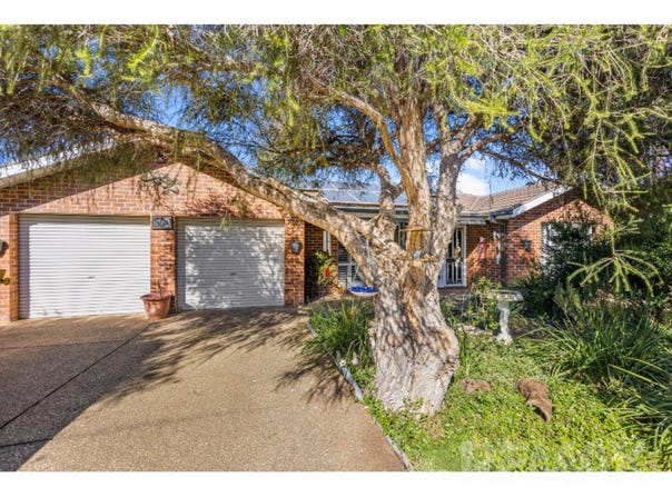 56 Jack Avenue, Mount Austin, NSW 2650