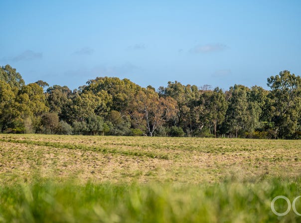 Lot 22 Bagshaws Road, McLaren Flat, SA 5171