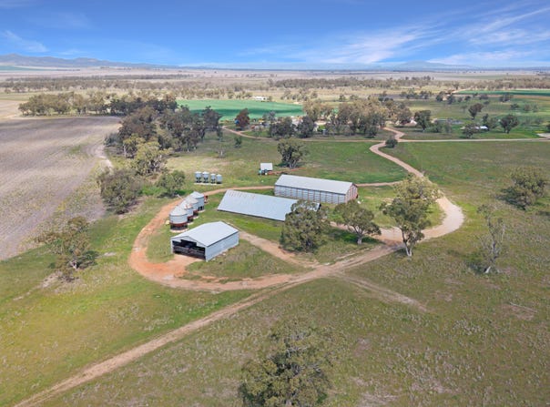 Lignum Aggregation 1822 Howes Hill Road, Spring Ridge, NSW 2343