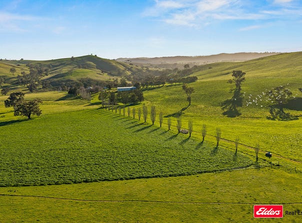 Boorowa, NSW 2586