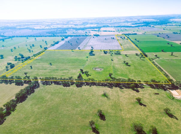 88 Barbers Road, Walla Walla, NSW 2659