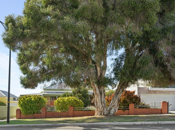 22 Hobart Street, North Perth, WA 6006