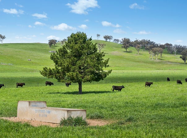 593 Belgravia Road, Belgravia, NSW 2800