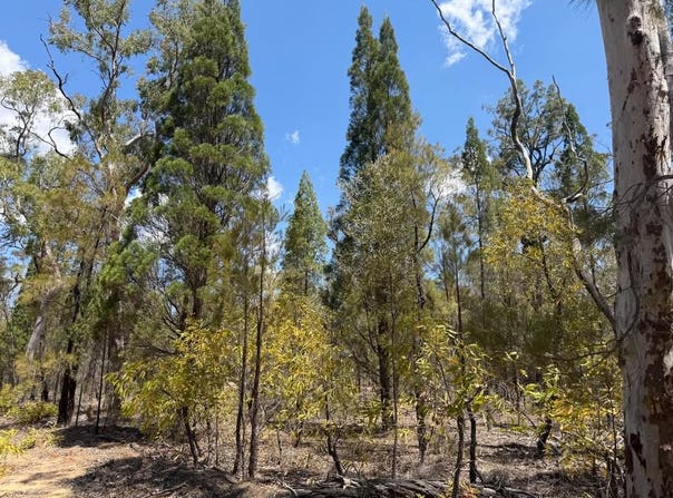 50, Kimberley Drive, Cypress Gardens, Qld 4357