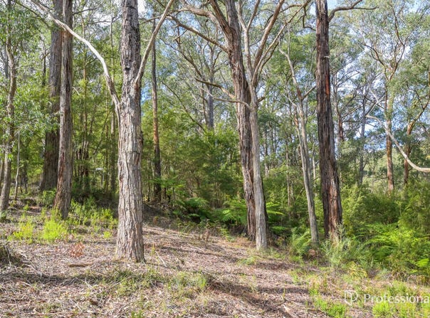 22 Yarra Valley Crescent, East Warburton, Vic 3799