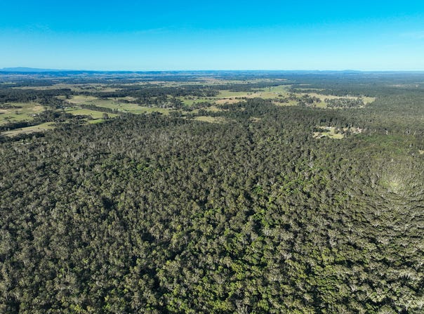 1050 Ellangowan Road, Yorklea, NSW 2470