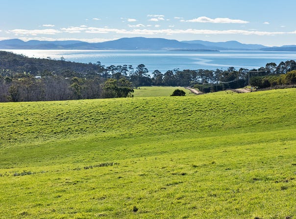 191 Littles Road, Premaydena, Tas 7185