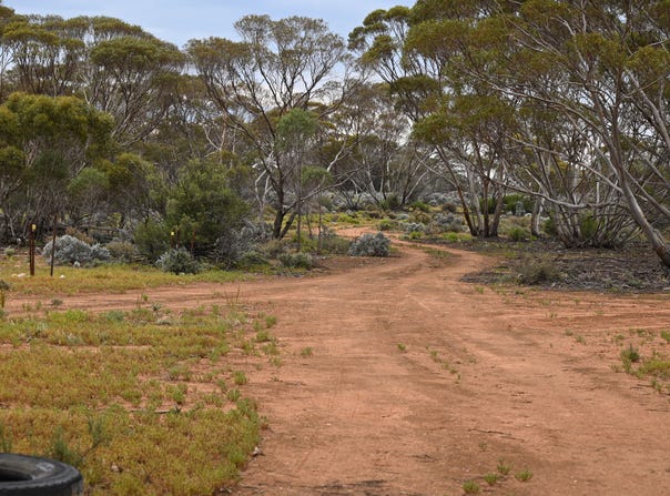 Lot 291 Pat Hydes Road, Morgan, SA 5320