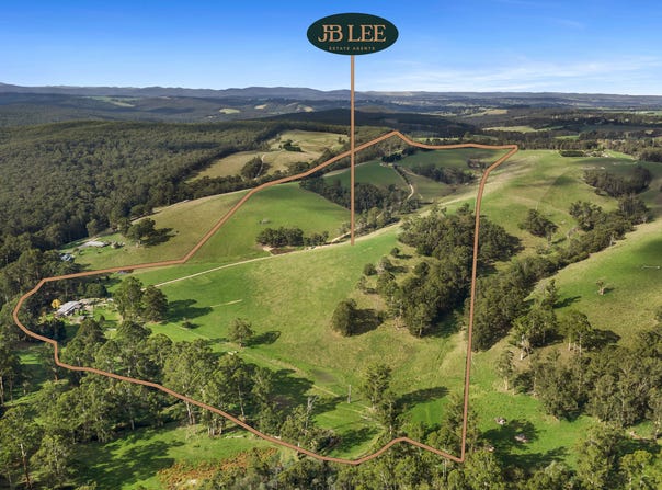 155 Beards Track, Shady Creek, Vic 3821