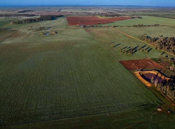 3166 Back Trundle Road, Cooks Myalls, NSW 2870