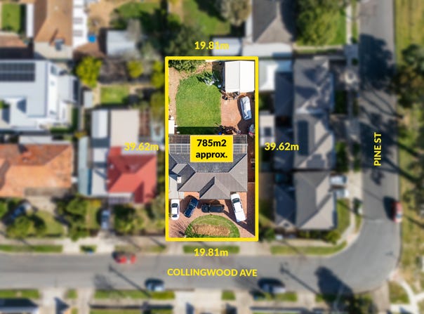 53 Collingwood Avenue, Flinders Park, SA 5025