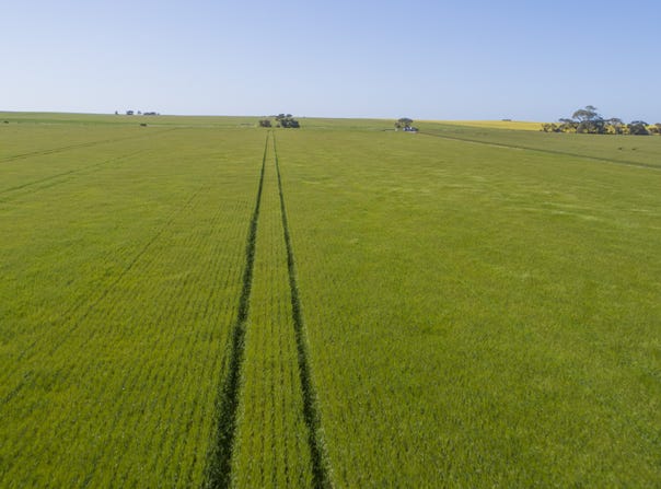 'Sims' Section 87N Rickaby Road, Minlaton, SA 5575