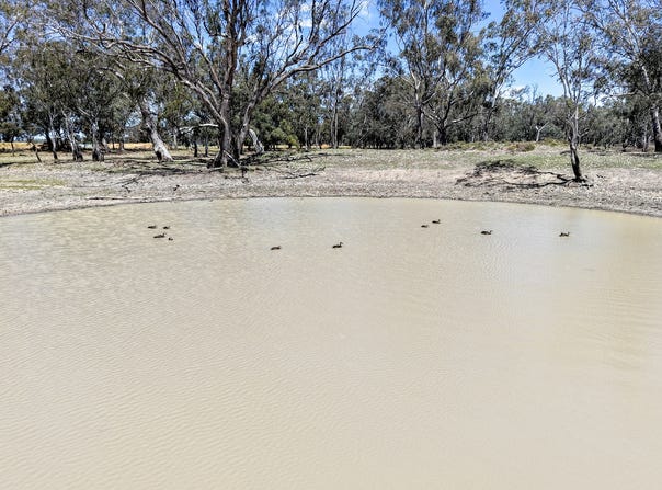 1359 Saddleback Road, Forbes, NSW 2871