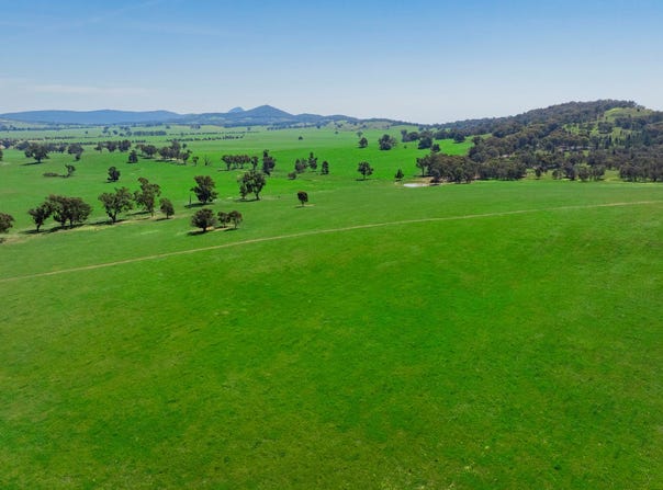 300 Jaricks Lane, The Rock, NSW 2655