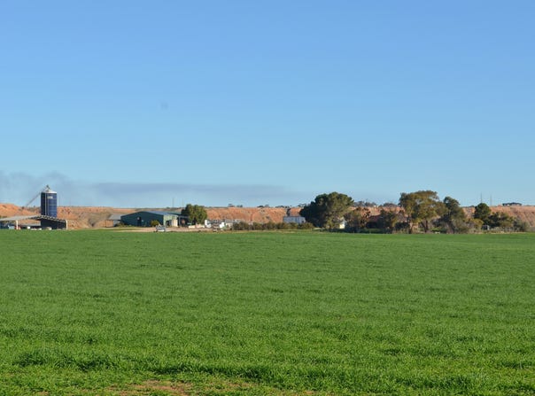 291 Murrawong Road, Murray Bridge, SA 5253