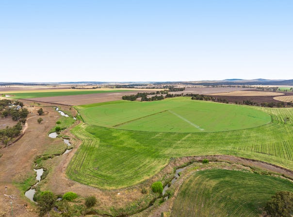 1635 Clifton Leyburn Road, Ellangowan, Qld 4361