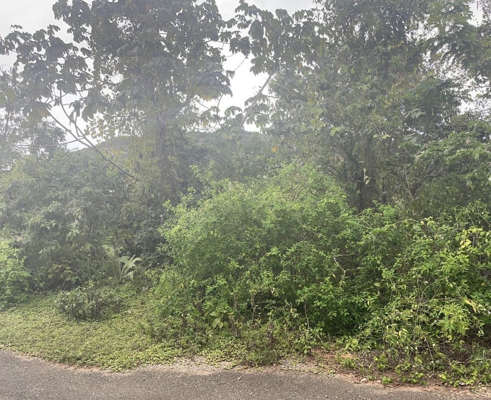 59 HEFFS CRESCENT, Red Hills, St. Andrew