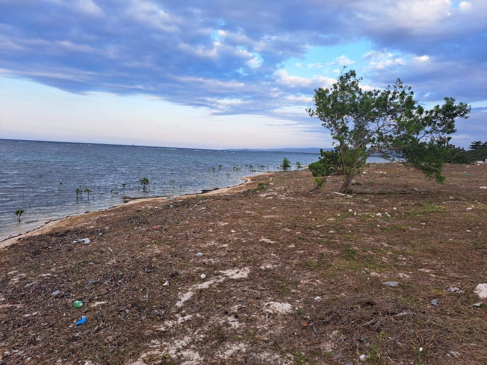 LOVE HALL/FLAMINGO BEACH, Falmouth, Trelawny