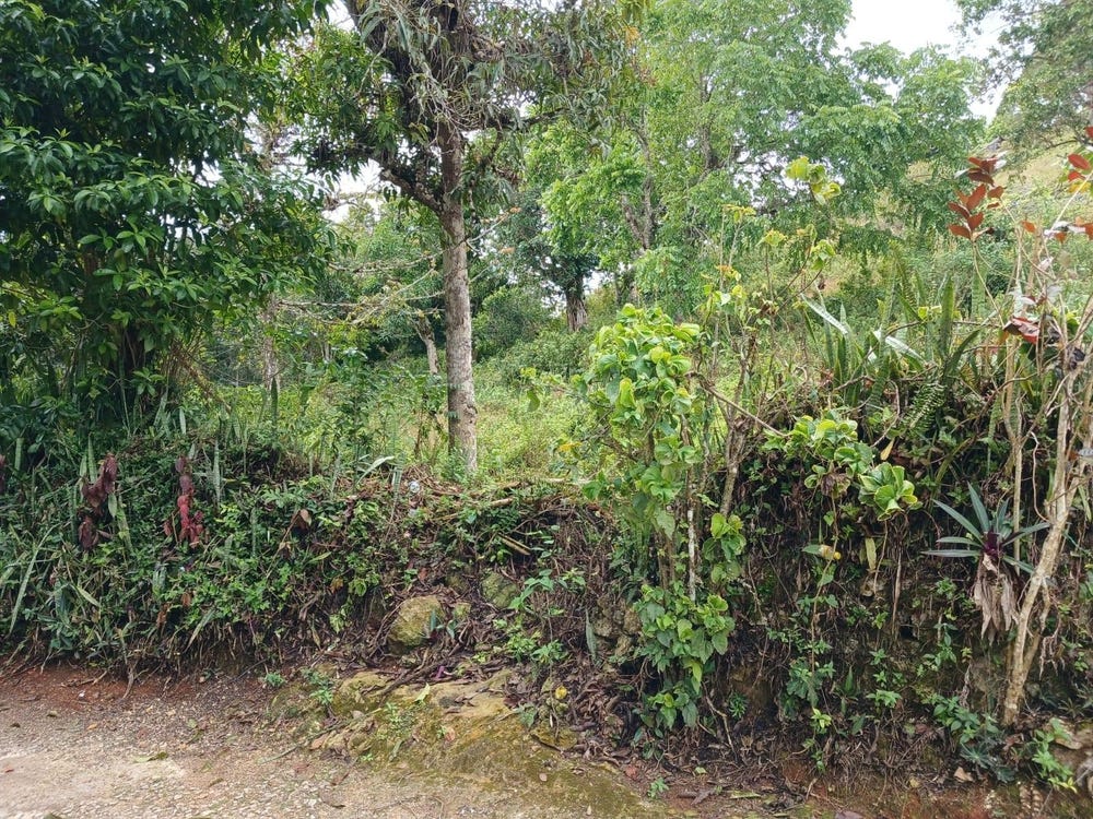 GREEN HILL, ALEXANDRIA, S